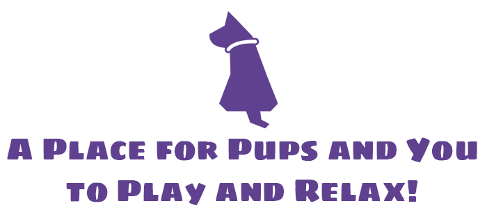 A Place for Pups and People to Play and Relax!
